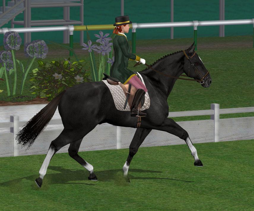 equestrian challenge online horse game